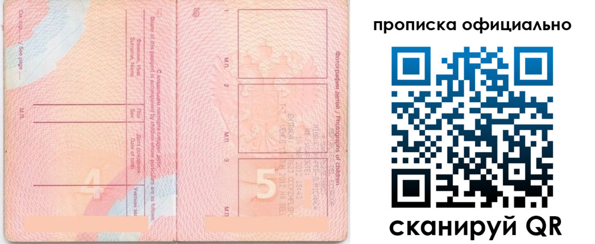 прописка для школы в Протвино